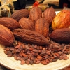 Beneficios del cacao