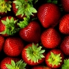 Las fresas contra el cáncer de esófago